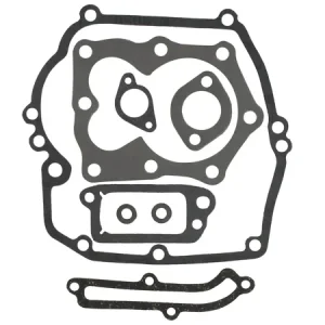 Ajankohtainen Tiivistesarja, Briggs & Stratton Quantum 4, 5 ja 6hv